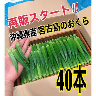 【40本】宮古島産　おくら　オクラ(野菜)