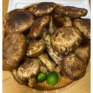 中国産 松茸 約1kg まつたけ マツタケ。(野菜)