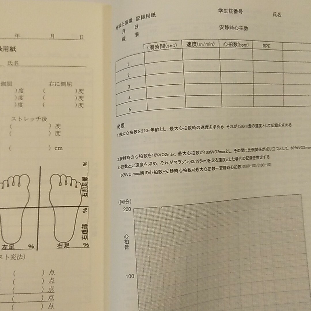 教養としての身体運動・健康科学 エンタメ/ホビーの本(趣味/スポーツ/実用)の商品写真