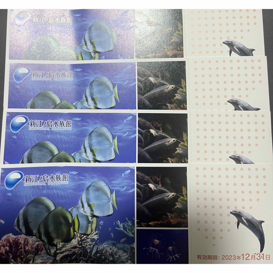 新江ノ島水族館4枚招待券の通販 by 道具屋|ラクマ