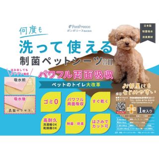 ポンポリース(Pom Preece)の制菌ペットシーツ　L ×3枚（カラーはお任せ）1枚¥3350(犬)