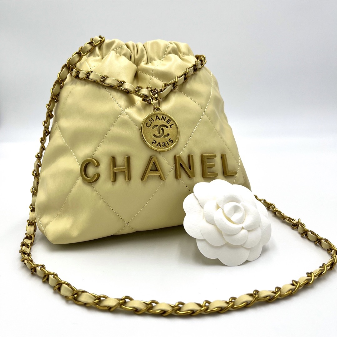 Chanel Bag trong 2023