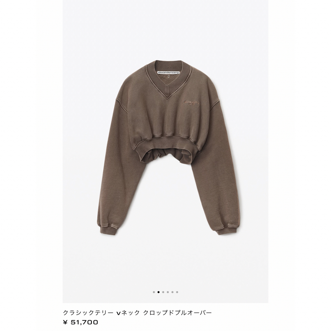 Alexander Wang   alexanderwang スウェット vネッククロップドプル