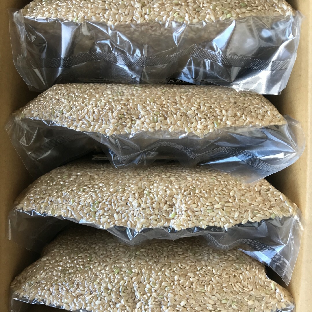 自然栽培 朝日米 10kg (2.5×4袋)玄米 R5年 在来種 農薬不使用玄米
