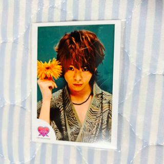 ヘイセイジャンプ(Hey! Say! JUMP)の有岡大貴  LOVE HARAJUKU 公式ミニフォトセット(アイドルグッズ)