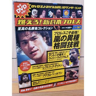 シュウエイシャ(集英社)の燃えろ! 新日本プロレス2012年3月29日 Vol.12号 嵐の異種格闘技(スポーツ/フィットネス)