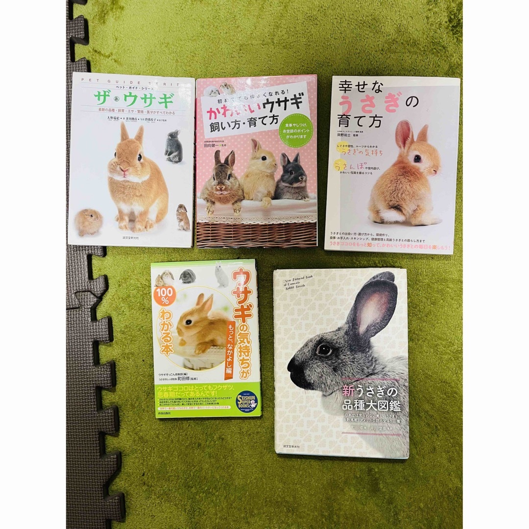 【4万相当超お取引★先着1名】うさぎ飼育・関連本まとめ売り