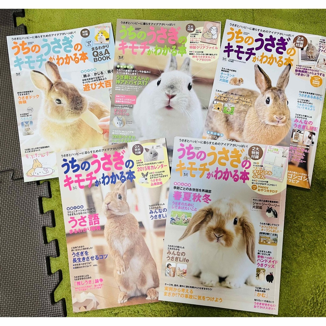 【4万相当超お取引★先着1名】うさぎ飼育・関連本まとめ売り