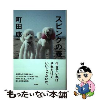 【中古】 スピンクの壷/講談社/町田康(文学/小説)