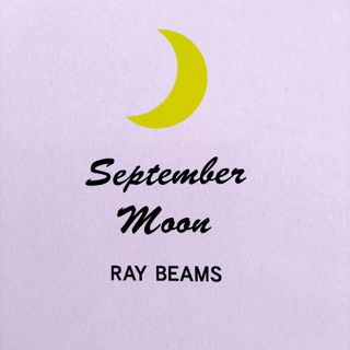 レイビームス(Ray BEAMS)のRAY BEAMS.黒バックスキン(ローファー/革靴)