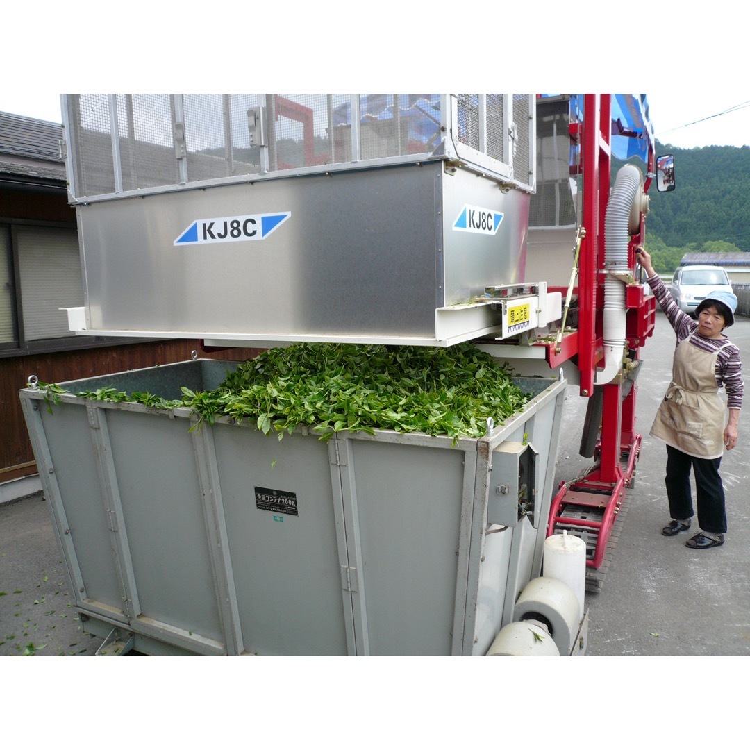 伊勢神宮奉納茶　特上かぶせ茶　茶葉100g入り3袋 食品/飲料/酒の飲料(茶)の商品写真