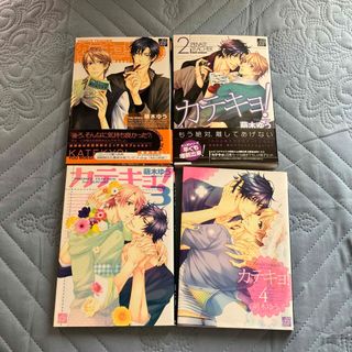 カテキョ！　萌木　ゆう　1巻〜4巻　シリーズまとめ売り(ボーイズラブ(BL))