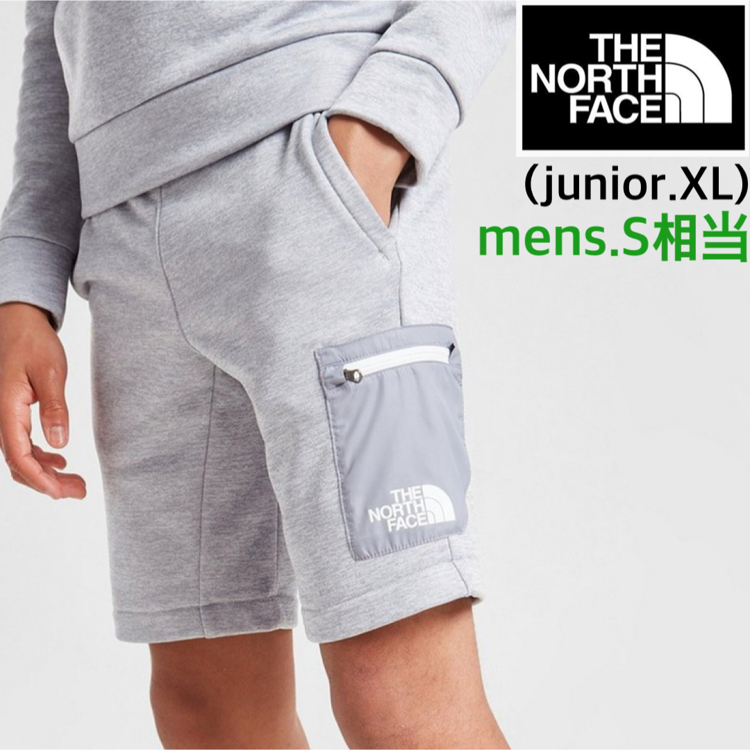 THE NORTH FACE ザノースフェイス ショートパンツ L グレー