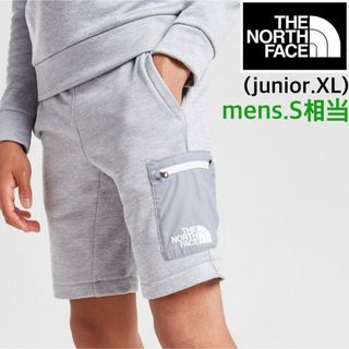 ザノースフェイス(THE NORTH FACE)の【海外限定】TNF ショートパンツ メンズ ジュニア　グレー 170cm(ショートパンツ)