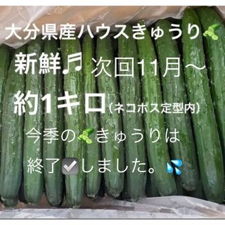 新鮮♬ 大分県産ハウスきゅうり　（胡瓜　キュウリ(野菜)