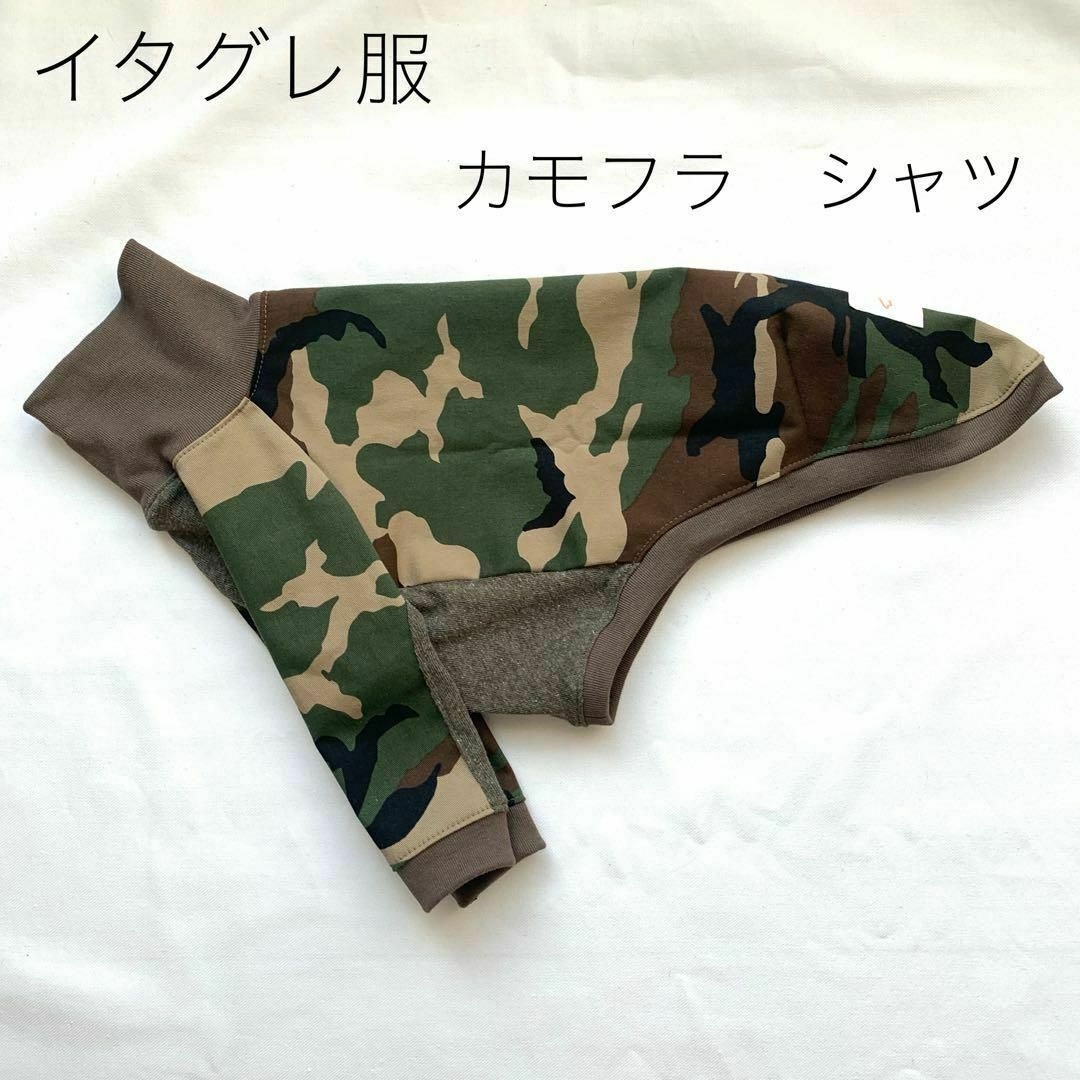 ららら様専用　イタグレ服　カモフラシャツ＆トリコロール ロンパース ハンドメイドのペット(ペット服/アクセサリー)の商品写真