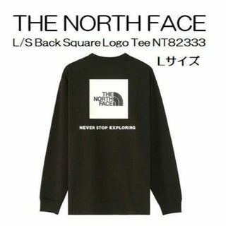 ザノースフェイス(THE NORTH FACE)のノースフェイス スモールボックスロゴティー L(Tシャツ/カットソー(七分/長袖))