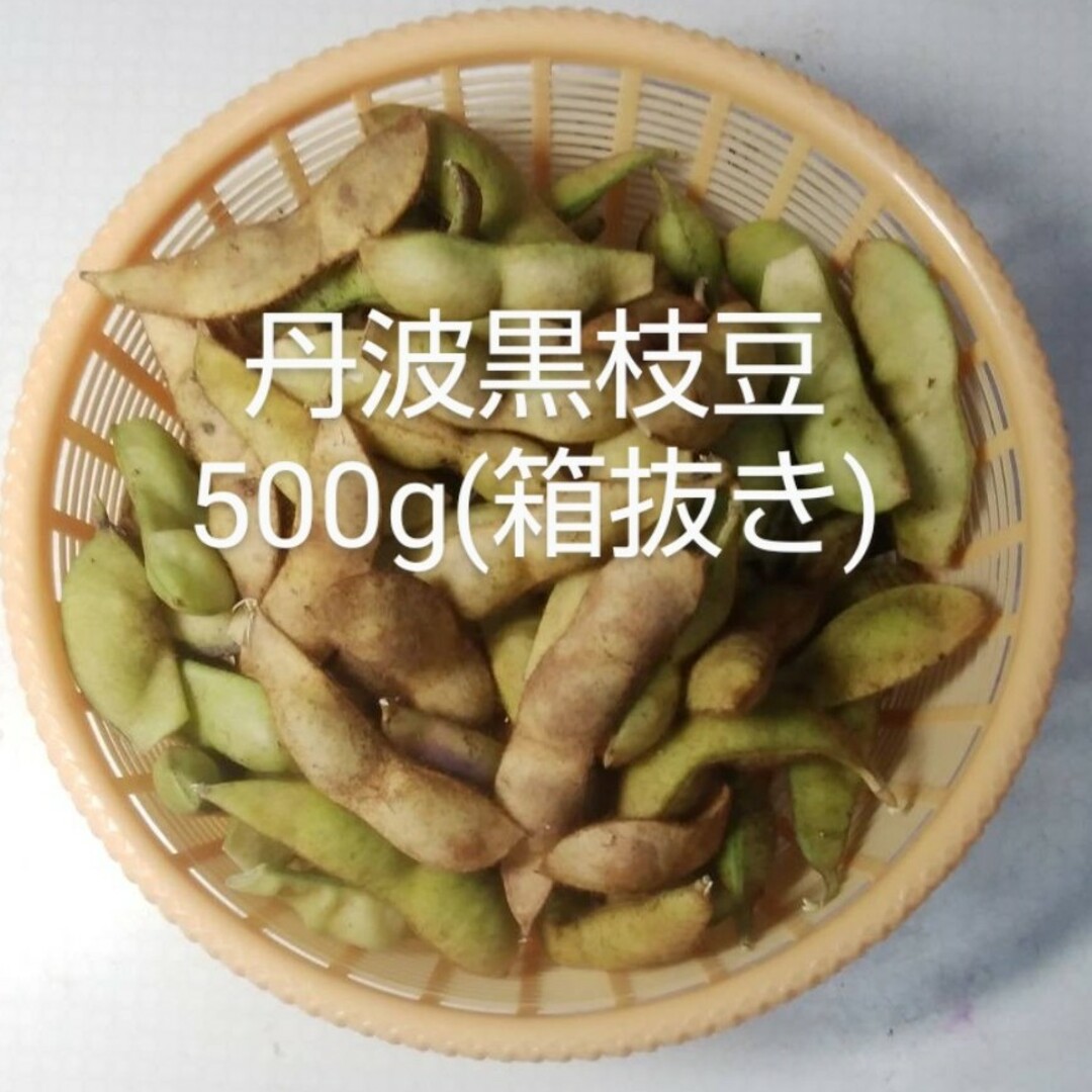 丹波黒枝豆５００ｇ(箱抜き) 食品/飲料/酒の食品(野菜)の商品写真