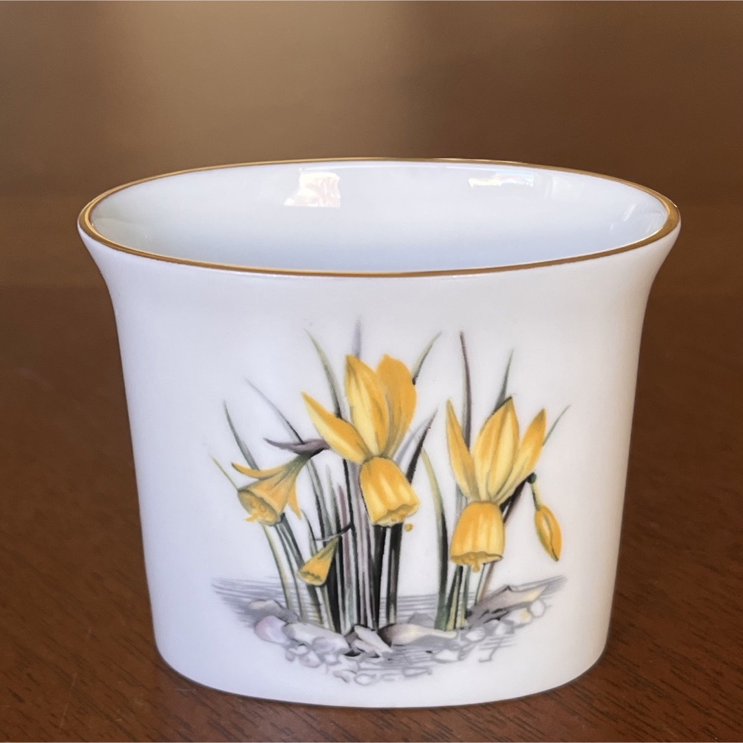 Royal Worcester(ロイヤルウースター)の【レア美品】ロイヤルウースター★Early Spring★シュガー＆クリーマー インテリア/住まい/日用品のキッチン/食器(食器)の商品写真