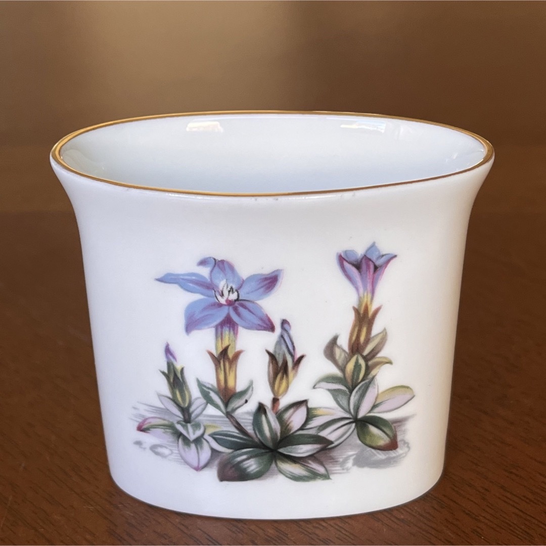 Royal Worcester(ロイヤルウースター)の【レア美品】ロイヤルウースター★Early Spring★シュガー＆クリーマー インテリア/住まい/日用品のキッチン/食器(食器)の商品写真