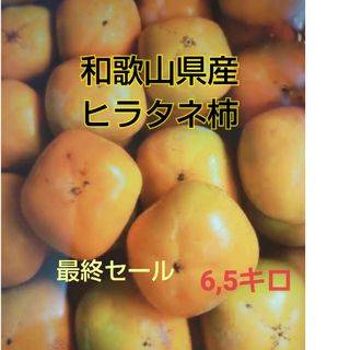 和歌山県産ヒラタネ柿(フルーツ)