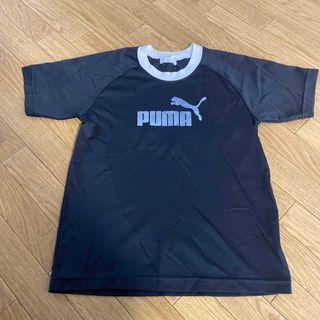 プーマ(PUMA)のPUMA スポーツTシャツ　140センチ(Tシャツ/カットソー)