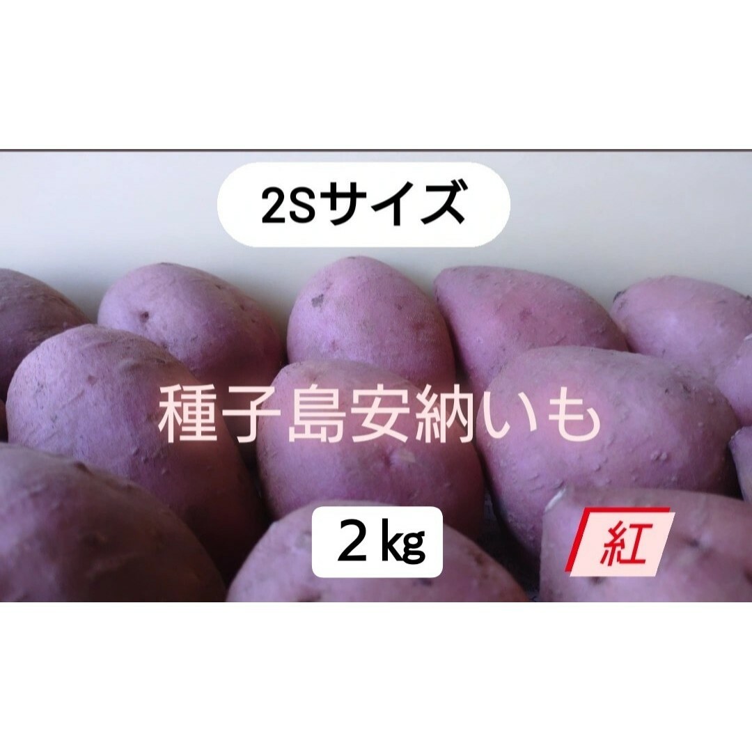 種子島安納いも紅2S　2キロ 食品/飲料/酒の食品(野菜)の商品写真