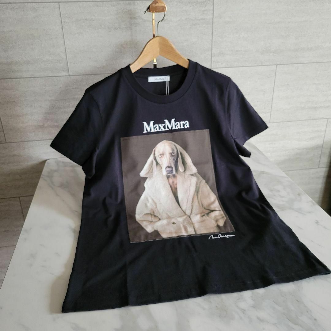 ★新品未使用・超希少★Max Mara ウェグマンプリントコットン Tシャツ S | フリマアプリ ラクマ