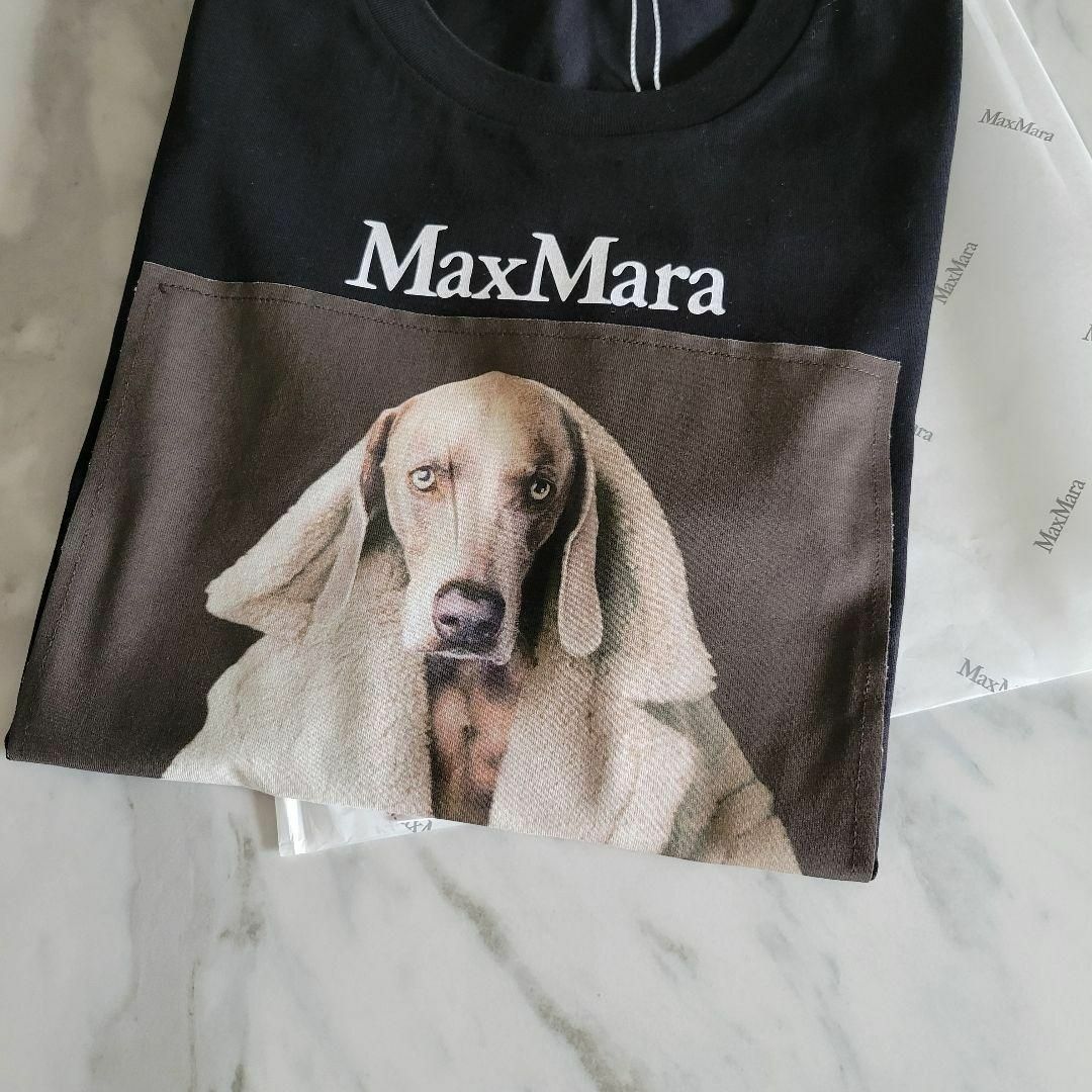 ★新品未使用・超希少★Max Mara ウェグマンプリントコットン Tシャツ M