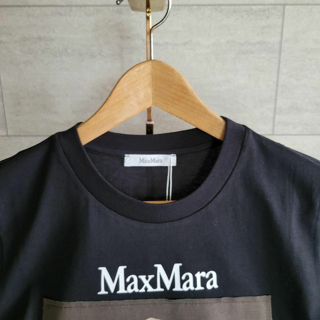 ★新品未使用・超希少★Max Mara ウェグマンプリントコットン Tシャツ L