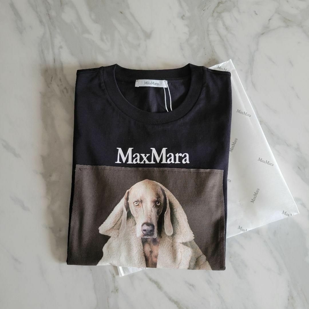 ★新品未使用・超希少★Max Mara ウェグマンプリントコットン Tシャツ L