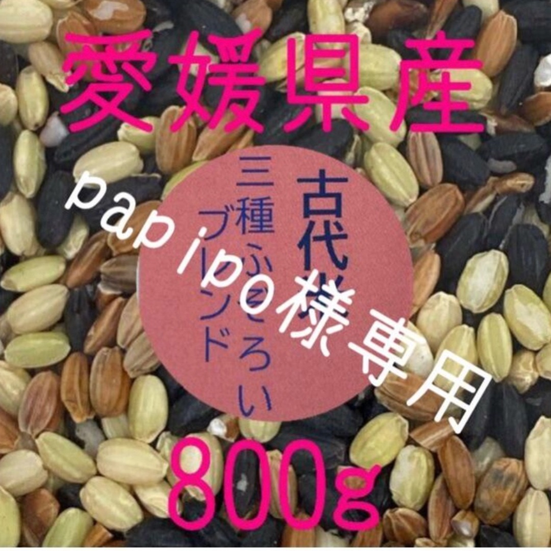 papipo様専用　古代米3種ふぞろいブレンド　愛媛県産　800ｇ 食品/飲料/酒の食品(米/穀物)の商品写真