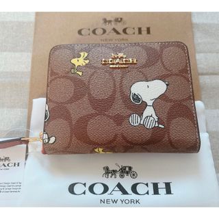 超最新作‼︎新品 COACH コーチ 折り財布 トゥルーレッド