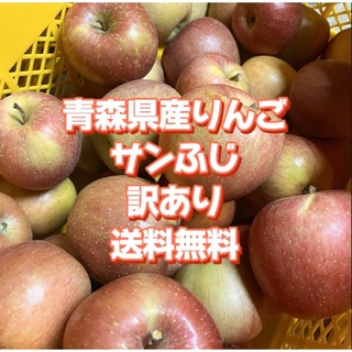【産地直送】青森県産りんご  家庭用  10kg(フルーツ)