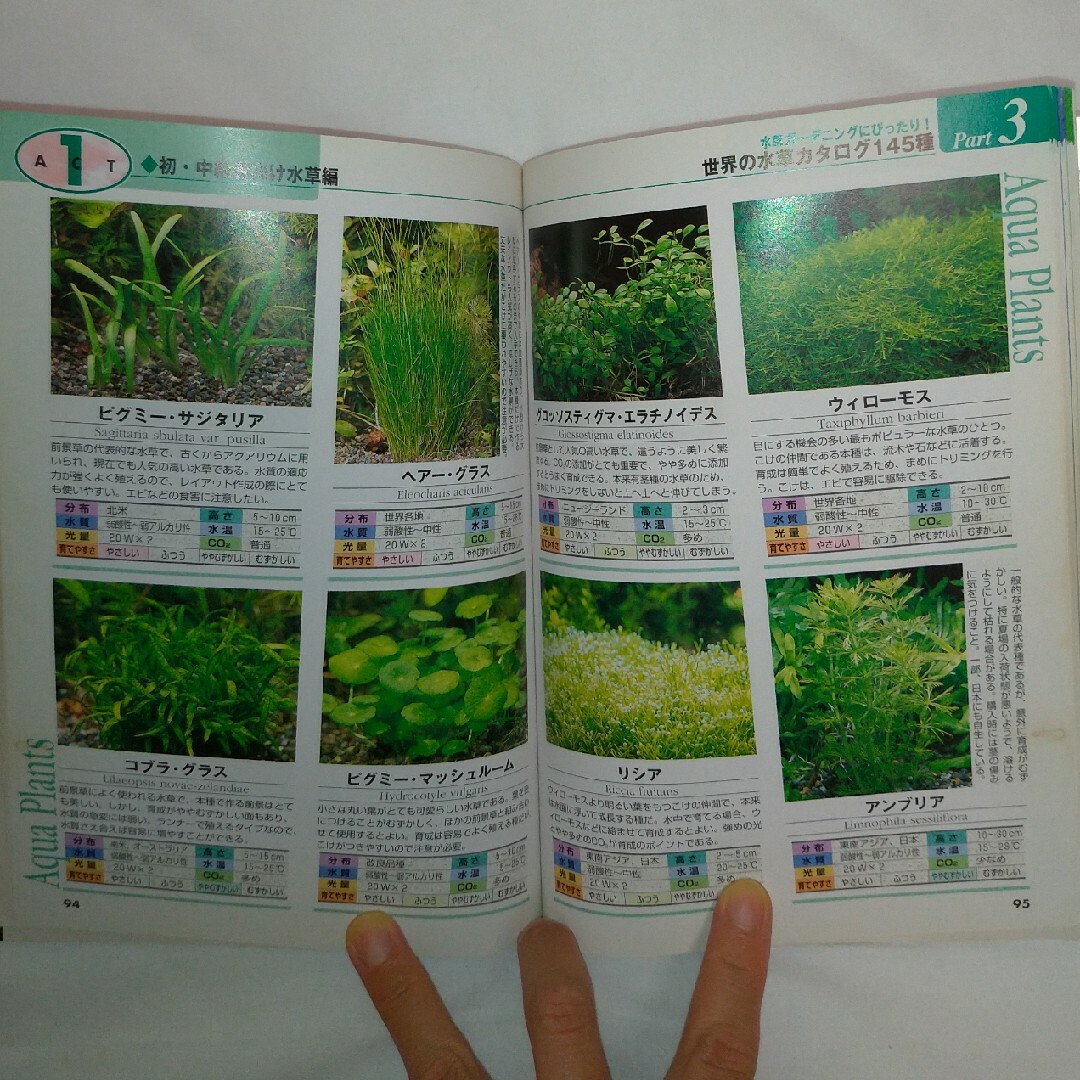 はじめての水草ガ－デニング エンタメ/ホビーの本(住まい/暮らし/子育て)の商品写真