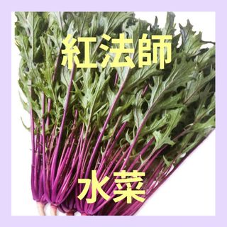 120粒　色鮮やかな水菜　サラダや鍋にも✦紅法師✦野菜の種(その他)