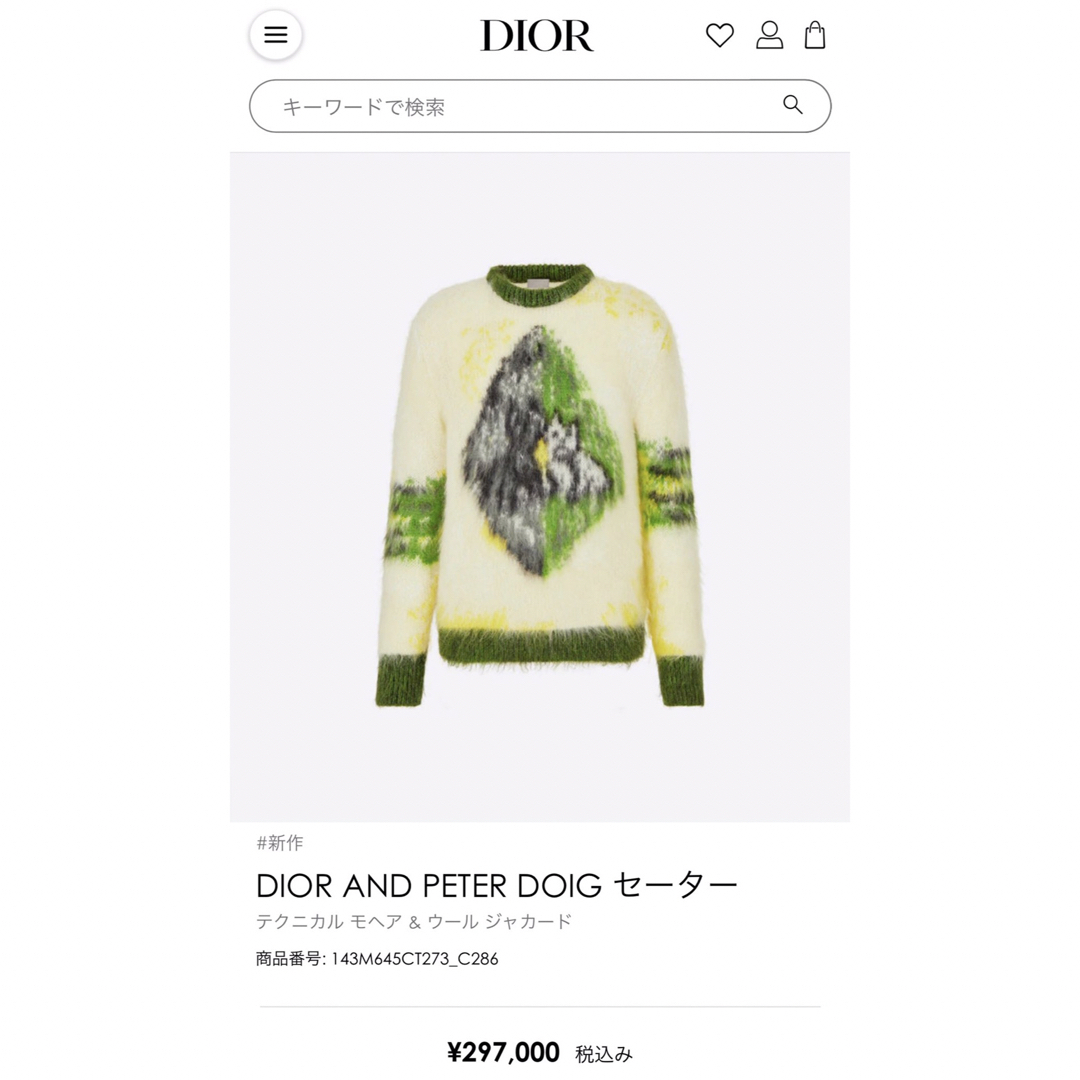 DIOR HOMME(ディオールオム)の木村拓哉着用　 国内正規品 DIOR AND PETER DOIG セーター メンズのトップス(ニット/セーター)の商品写真