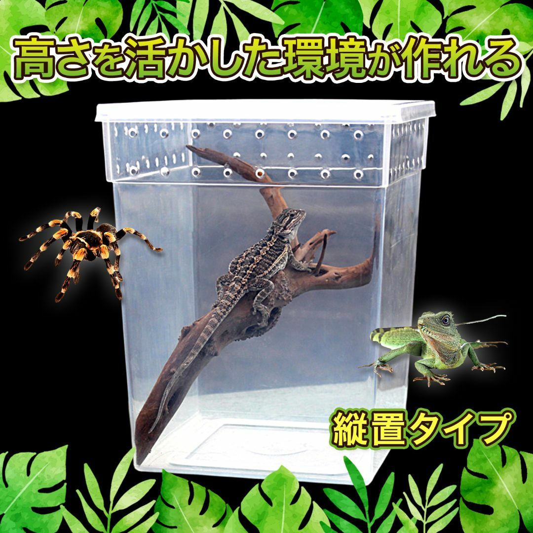 爬虫類昆虫類飼育 プラスチックケース 縦置 エサ皿設置可能 クリア 10個セット その他のペット用品(爬虫類/両生類用品)の商品写真
