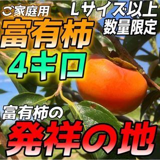 岐阜県瑞穂市産　富有柿　4キロLサイズ以上☆☆(フルーツ)