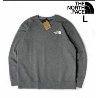 ザノースフェイス(THE NORTH FACE)のTHE NORTH FACE LOGO PULLOVER  (USサイズL）(スウェット)