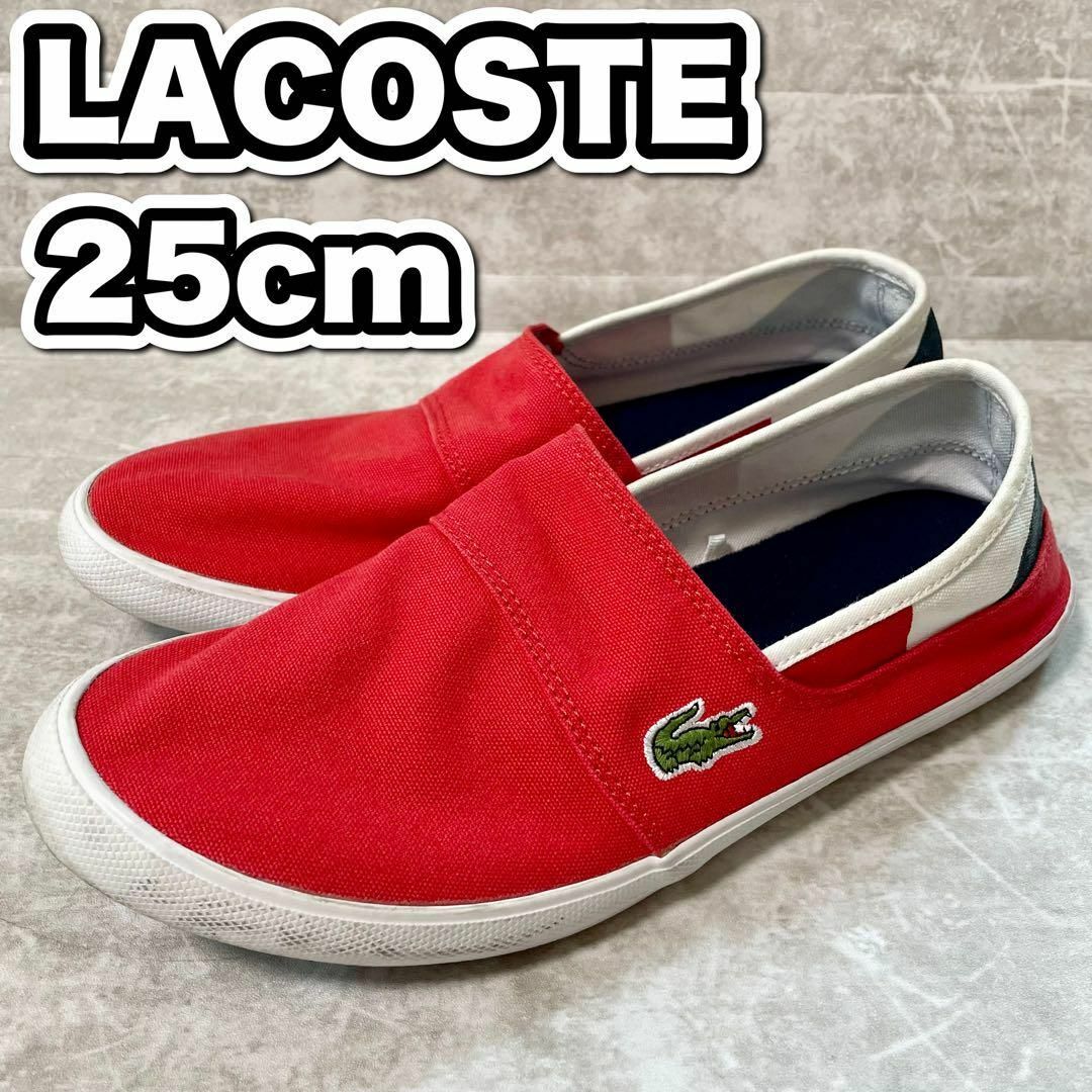 ❤️早い者勝ち❤️LACOSTE スリッポン/25センチ レディースの靴/シューズ(スリッポン/モカシン)の商品写真