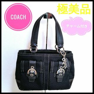 ☆美品☆コーチ coach レオパードプリントベネットミニ2wayサッチェル-