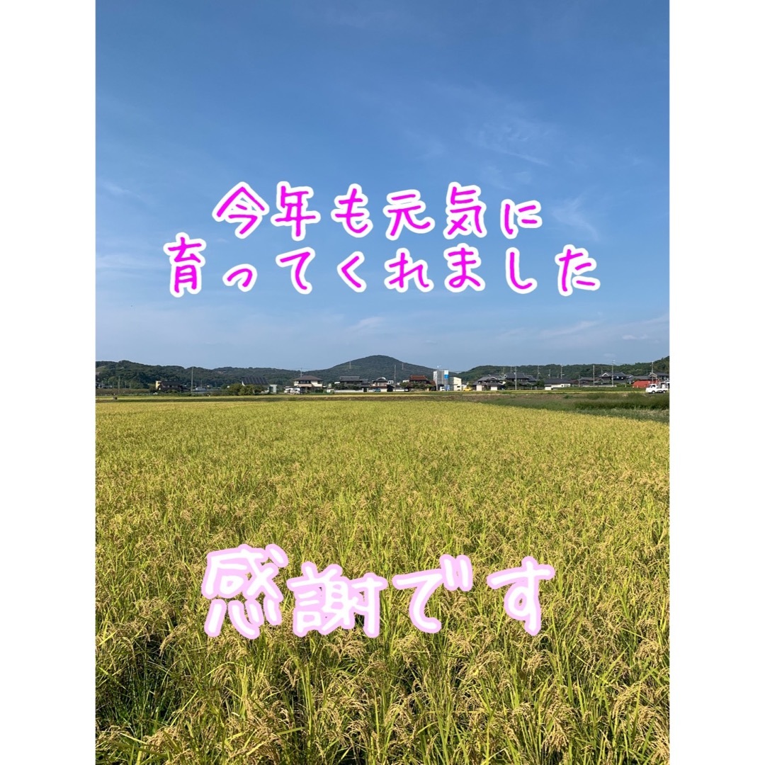 自然栽培ヒノヒカリ】白米20kg新米 令和5年度無農薬無肥料の自然 自然栽培ヒノヒカリ】白米20kg新米 令和5年度無農薬無肥料の自然