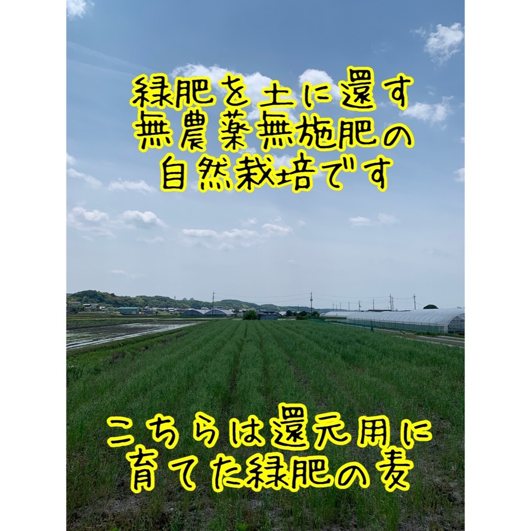 自然栽培ヒノヒカリ】白米20kg新米 令和5年度無農薬無肥料の自然 自然栽培ヒノヒカリ】白米20kg新米 令和5年度無農薬無肥料の自然