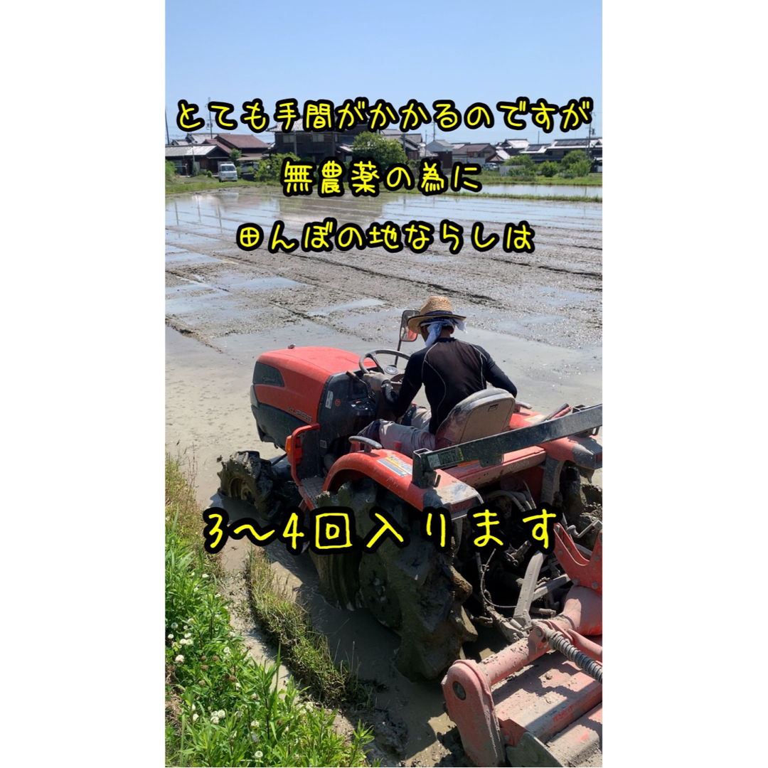 自然栽培ヒノヒカリ】白米20kg新米 令和5年度無農薬無肥料の自然 自然栽培ヒノヒカリ】白米20kg新米 令和5年度無農薬無肥料の自然