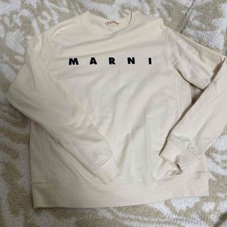 新品未使用マルニ Tシャツ ジャケットニットスウェットやスニーカーとも