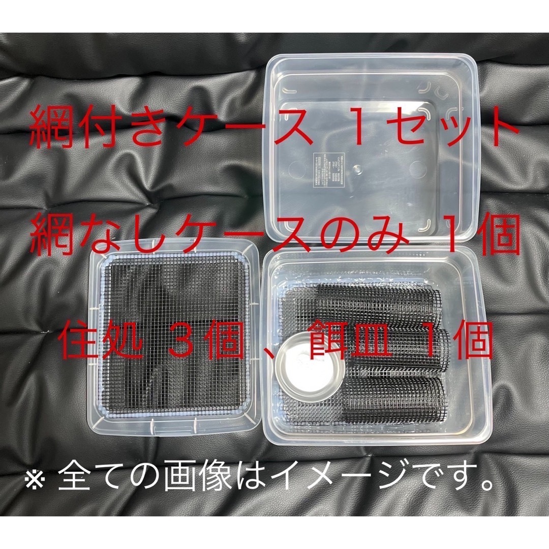 爬虫類 両生類 デュビア コオロギ レッドローチ 飼育ケース 飼育ケージ 【小】 その他のペット用品(爬虫類/両生類用品)の商品写真