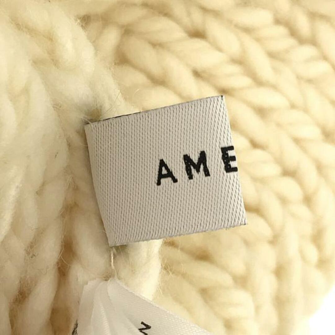 Ameri VINTAGE(アメリヴィンテージ)のAmeri VINTAGE / アメリヴィンテージ | TASSEL LOW GAUGE KNIT / タッセルローゲージニット セーター | F | アイボリー | レディース レディースのトップス(ニット/セーター)の商品写真