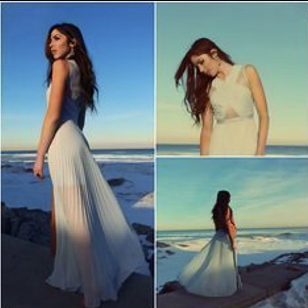 BCBGMAXAZRIA(ビーシービージーマックスアズリア)の美品！BCBGMAXAZRIA♡ホルターレース&プリーツロングドレス レディースのフォーマル/ドレス(ロングドレス)の商品写真