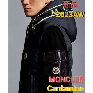 モンクレール(MONCLER)の専用出品【新品】モンクレールダウンベスト(ダウンベスト)